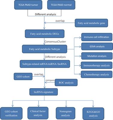 The integrated landscape of fatty acid metabolism subtypes reveals with prognostic and therapeutic relevance in pancreatic cancer